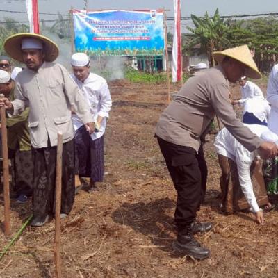 Forkopimka Krian dan Santri Pesantren Darul Falah Tanam Jagung untuk Ketahanan Pangan