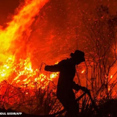 BPBD Sidoarjo Tangani 169 Kasus Kebakaran, Lahan Kosong Jadi Penyumbang Terbanyak