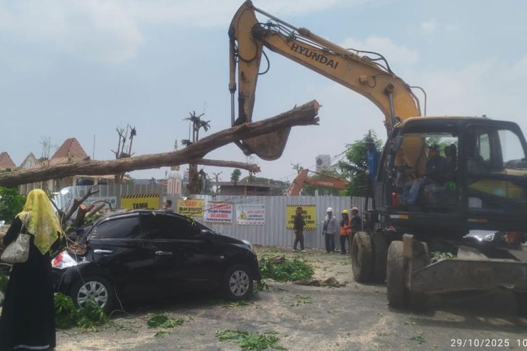 Pohon Tumbang Saat Revitalisasi Alun-Alun, Mobil dan Motor Tertimpa