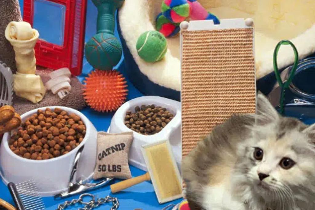 Rekomendasi Pet Shop di Sidoarjo untuk Lengkapi Kebutuhan Hewan Peliharaan