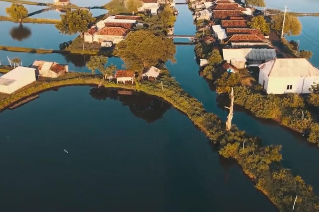 Pesona Sidoarjo: Harmoni Alam, Budaya, dan UMKM