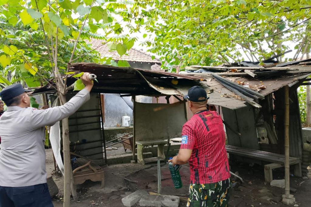 Polisi Tindak Lanjut Laporan, Arena Sabung Ayam di Sukodono Dibongkar